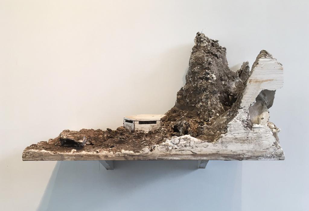 hendrik vermeulen _ petit pikilonia