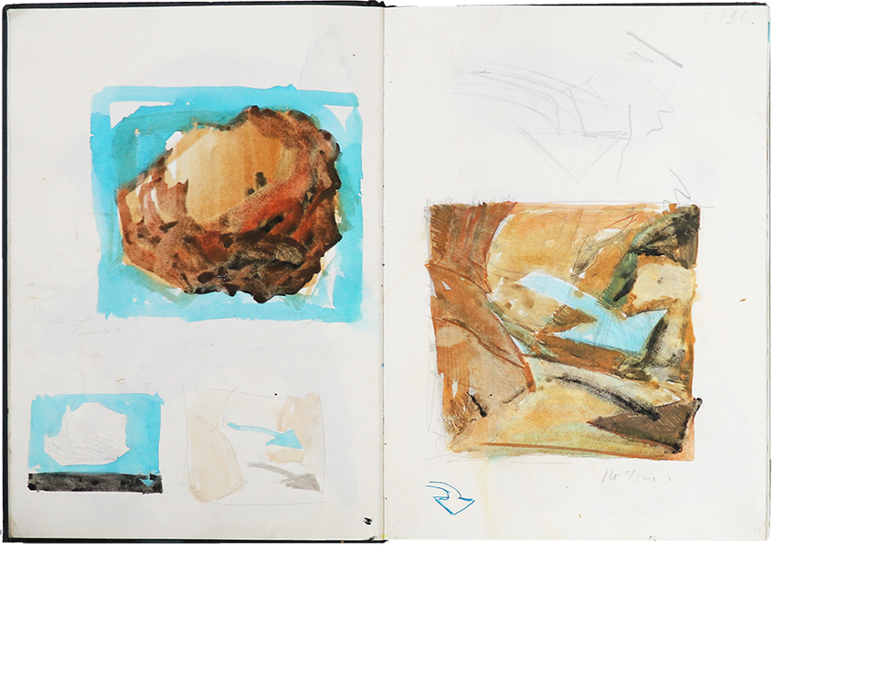 Hendrik Vermeulen field book1992