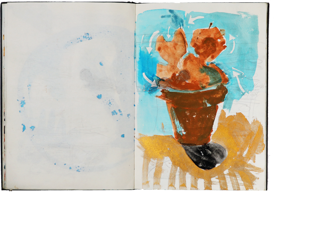 Hendrik Vermeulen field book1992