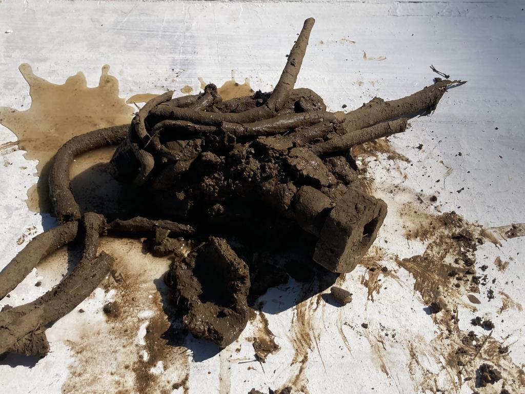 hendrik vermeulen - bazoches - vauban