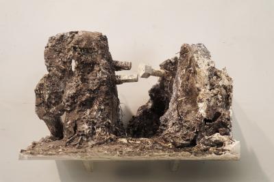 petit pikilonia _ hendrik vermeulen